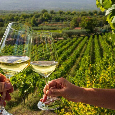 Taste%20My%20Greece