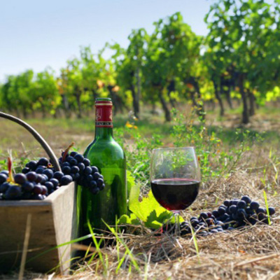 Taste%20My%20Greece