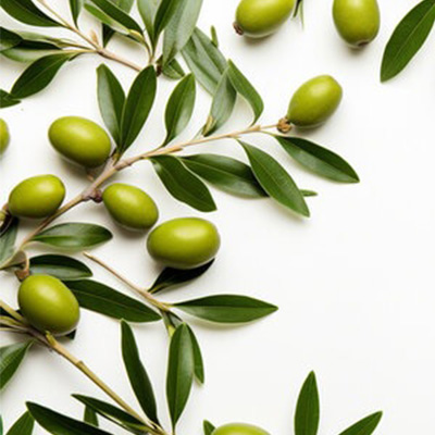 Taste%20My%20Greece