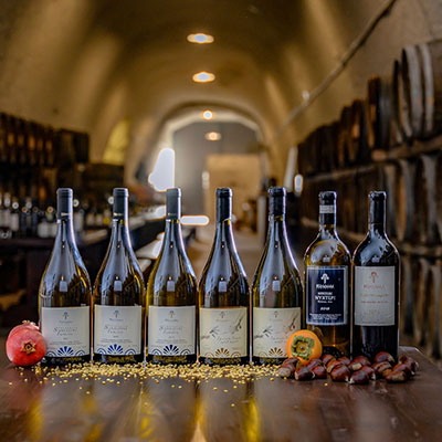 wine_06